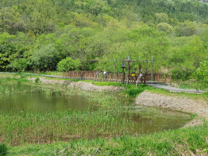 운곡습지 생태연못. 고창군 제공. 