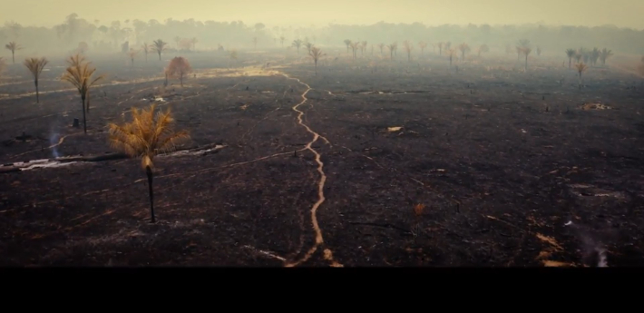 세계 최초로 '기후위기'를 정면으로 다룰 영화제인 '제1회 하나뿐인 지구영상제(BPFF)가 개막작으로 캐나다 영화 <모든 것의 모든 것; The Magnitude of All Things>을 선정했다. 영화 <모든것의 모든것>의 한 장면 자연의 권리찾기 제공