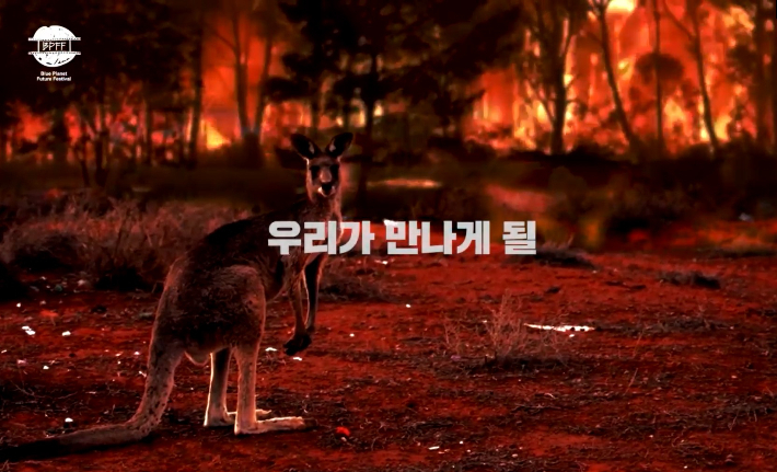 세계 최초로 '기후위기'를 정면으로 다룰 영화제인 '제1회 하나뿐인 지구영상제(BPFF)가 개막작으로 캐나다 영화 <모든 것의 모든 것; The Magnitude of All Things>을 선정했다. 제1회 하나뿐인 지구영상제 트레일러 캡쳐  자연의 권리찾기 제공 