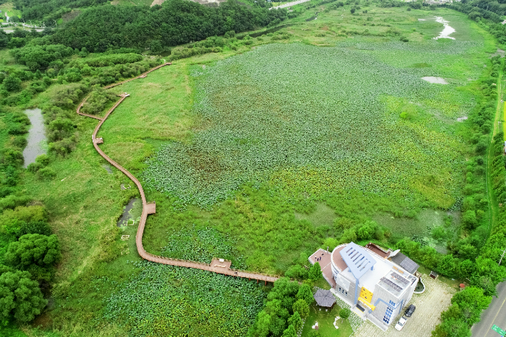 합천 정양늪. 경남도청 제공