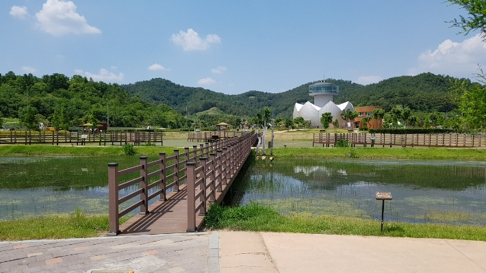 창녕 우포늪. 경남도청 제공