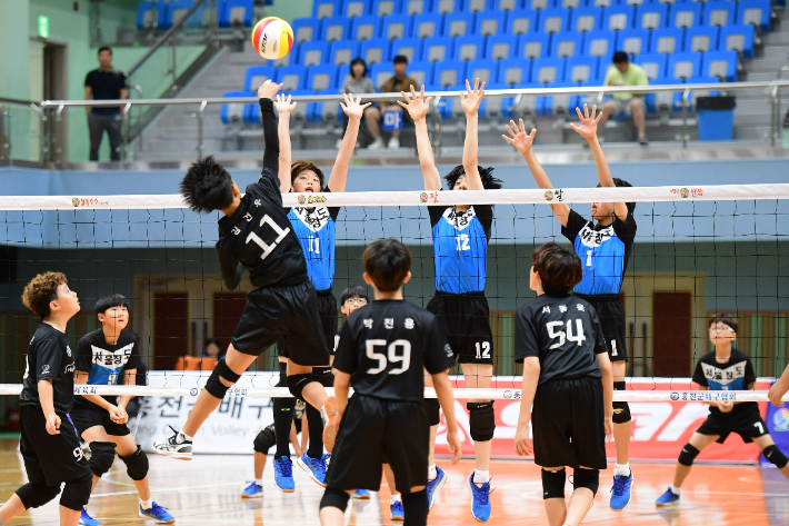 한국배구연맹(KOVO)는 26일 "오는 8월 16일(화)부터 21일(일)까지 '2022 홍천 전국 유소년 클럽 배구대회'를 개최한다"고 밝혔다. 코로나19로 3년 만에 열리는 대회다. 사진은 2019년 대회 모습. KOVO 