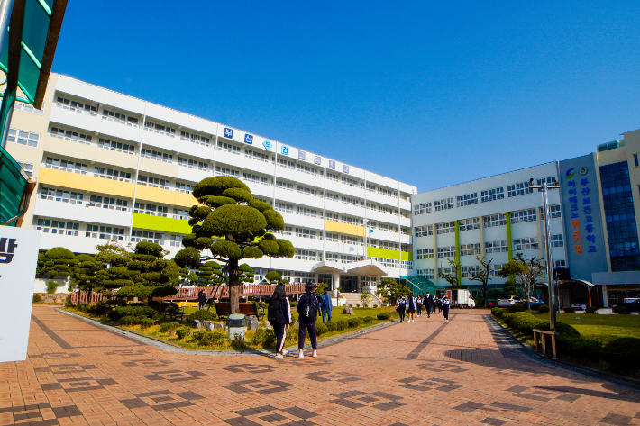 부산보건고등학교/부산시교육청 제공