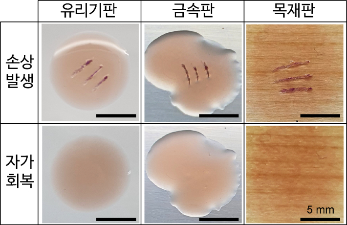 한국과학기술연구원 제공