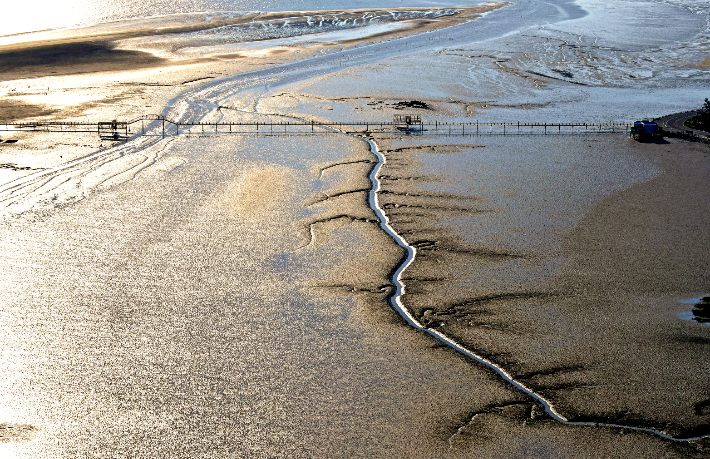 신안 증도 갯벌. 전라남도 제공