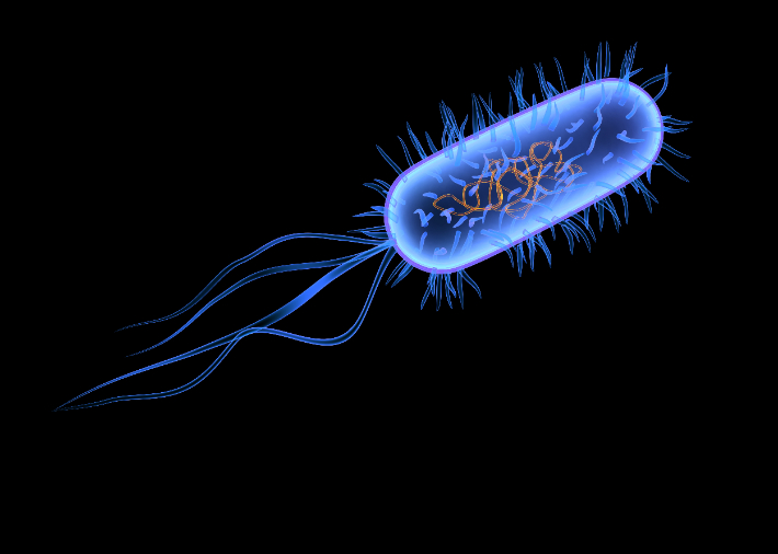 스마트이미지 제공