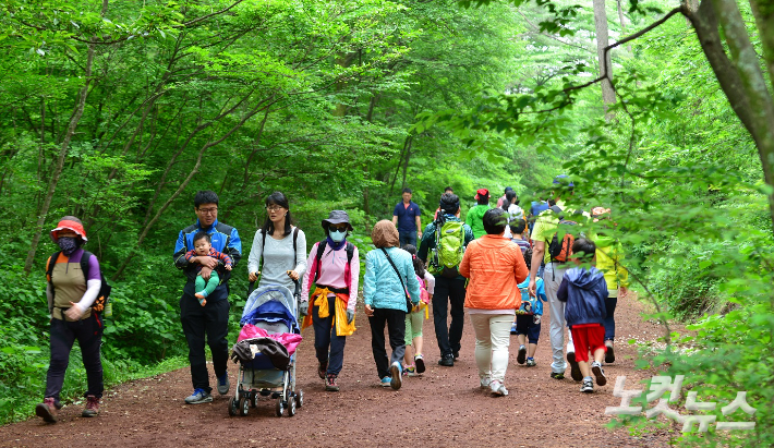 숲길을 걷는 관광객들.