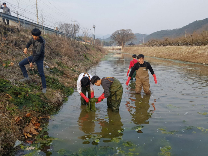영천 산자연중학교 학생들이 오산천을 찾아 환경정화활동을 하고 있다. 산자연중학교 제공