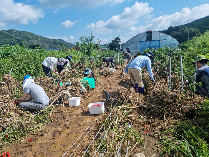 충남도의회 제공