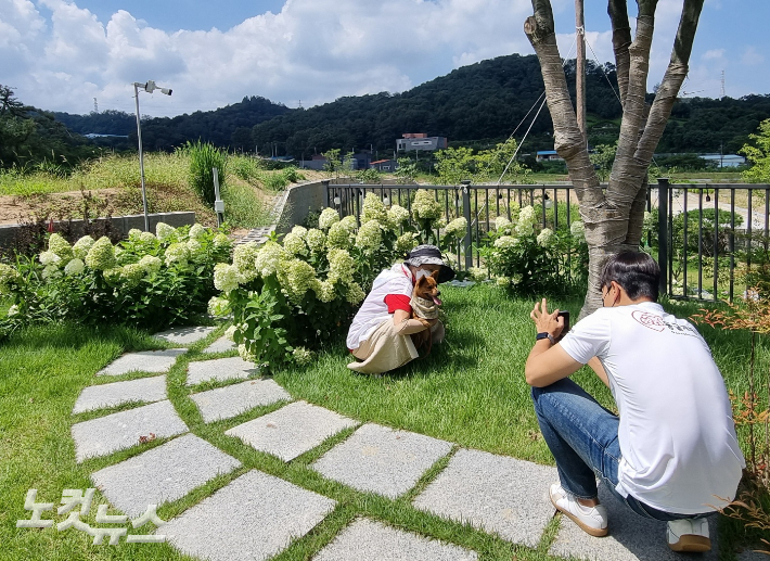 신방동과 둥글개봉사단이 진행한 동물매개치료 프로그램 '함께하개'에 참여한 할머니(왼쪽)가 반려견과 즐거운 시간을 보내고 있다. 인상준 기자