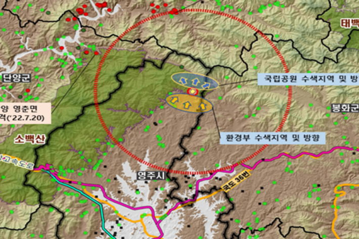 경상북도 영주시에서 처음으로 야생멧돼지 아프리카돼지열병이 확인됐다. 아프리카돼지열병 중앙사고수습본부 제공