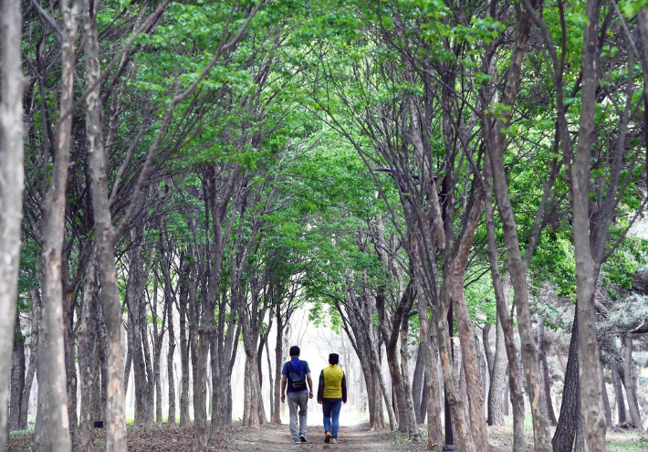 시흥시 곰솔누리숲. 연합뉴스