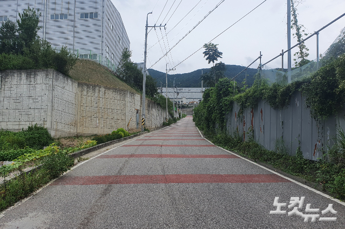 29일 A기업의 주 도로 쓰이는 곳. 이곳은 기부채납 대상 토지다. 이형탁 기자