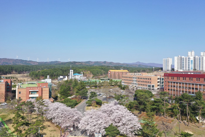 선린대 제공