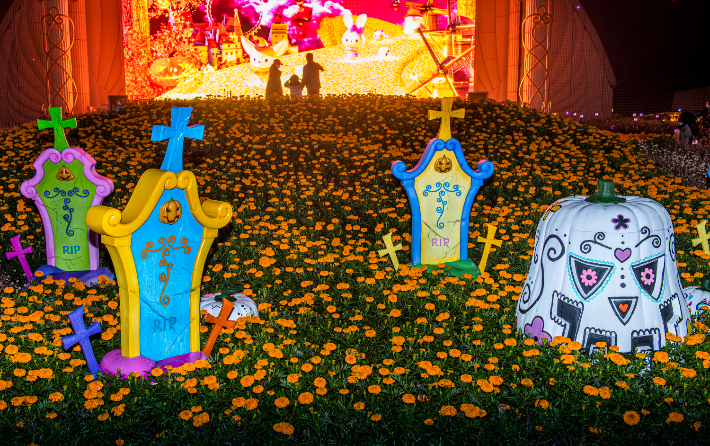 컬러풀한 호박 조형물과 함께 국화, 코키아 등 가을꽃이 가득한 '할로윈 테마가든'. 에버랜드 제공 