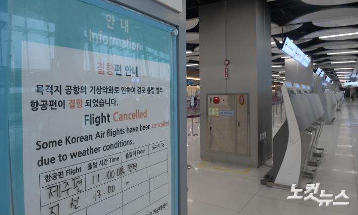 제주 항공편 결항