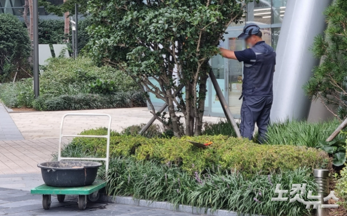 5일 부산 해운대구 마린시티의 한 아파트에서 제11호 태풍 힌남노 북상에 대비하기 위해 나무 고정 작업을 하고 있다. 김혜민 수습기자