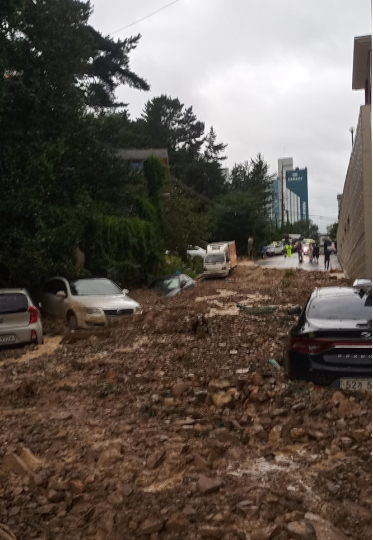 토사가 흘러내려 차들이 흙에 파묻혀 있다. 독자 제공