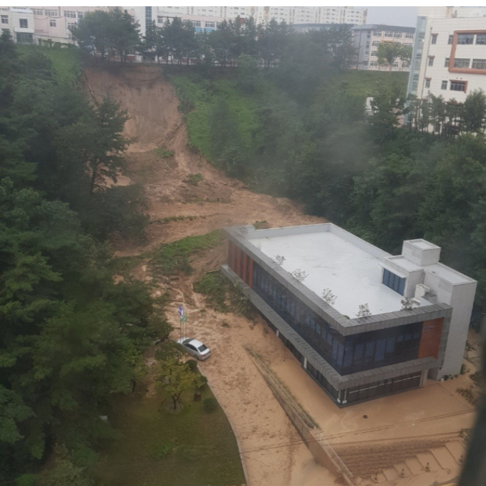 산사태가 발생한 포항지역 한 야산. 독자 제공