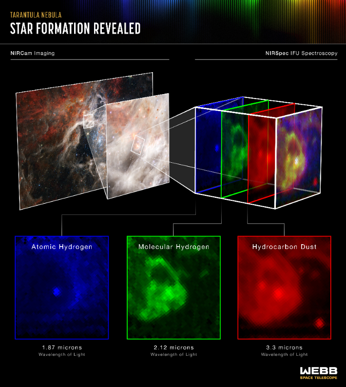 타란툴라(독거미) 성운 내 먼지구름 속 숨어있는 별을 근적외선 분광기(NIRSpec)으로 분석한 자료. NASA, ESA, CSA, STScI, Webb ERO Production Team