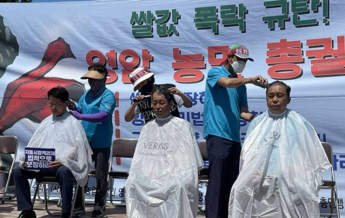 전남 영암지역 농민들이 8월26일 쌀값 폭락에 항의하며 삭발 시위를 하고 있다. 연합뉴스
