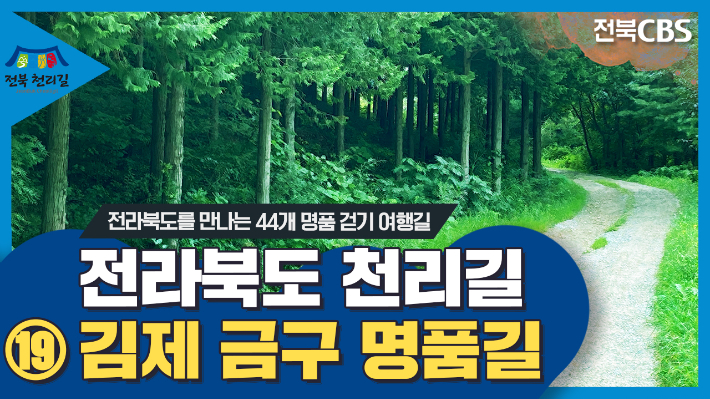 편백나무숲과 냉풍굴의 바람 따라 걷는 '김제 금구 명품길'[전라북도 천리길]