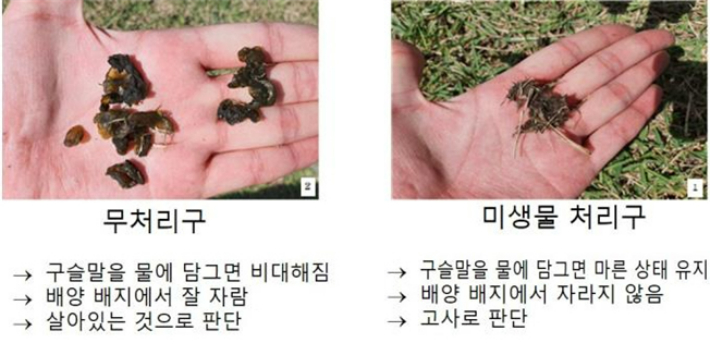 국립생물자원관 제공