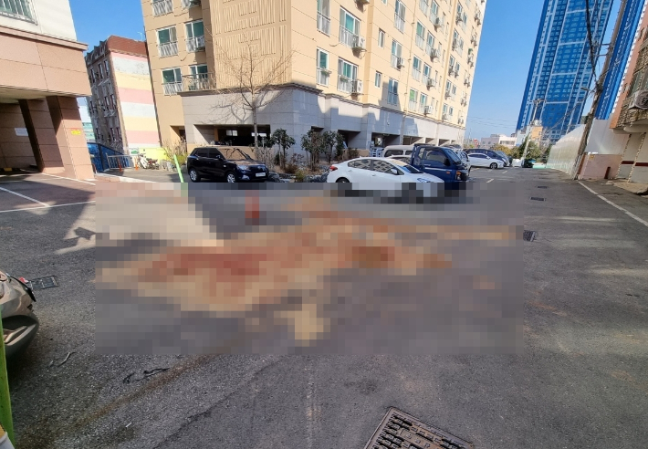 지난 3월 2일 50대 부부가 살해된 부산 북구 한 주택가 사건 현장. 박진홍 기자