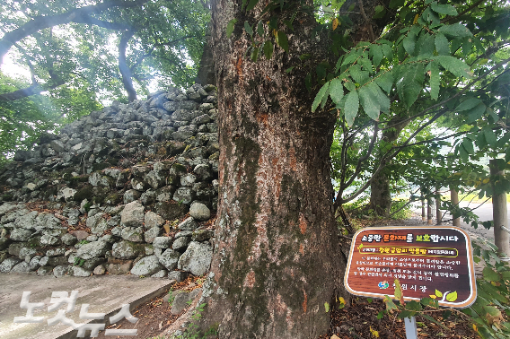 창원 진전면 금암리 막돌탑. 이형탁 기자