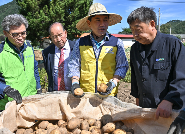 김진태 강원도지사(가운데)가 23일 정선군 농가를 찾아 강원도 농정국 직원들과 감자 수확을 돕고 농업인들과 대화의 시간을 가졌다. 강원도 제공 