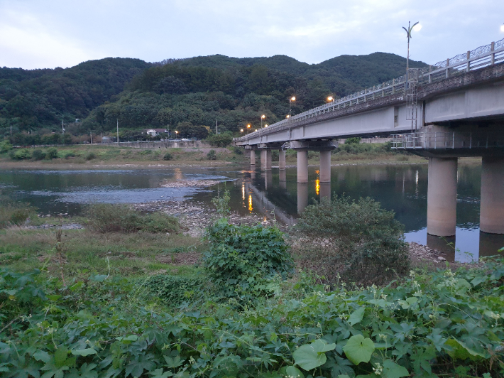 충북소방본부 제공