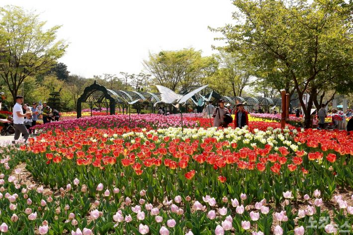 과거 오월드 튤립 축제 모습. 대전도시공사 제공
