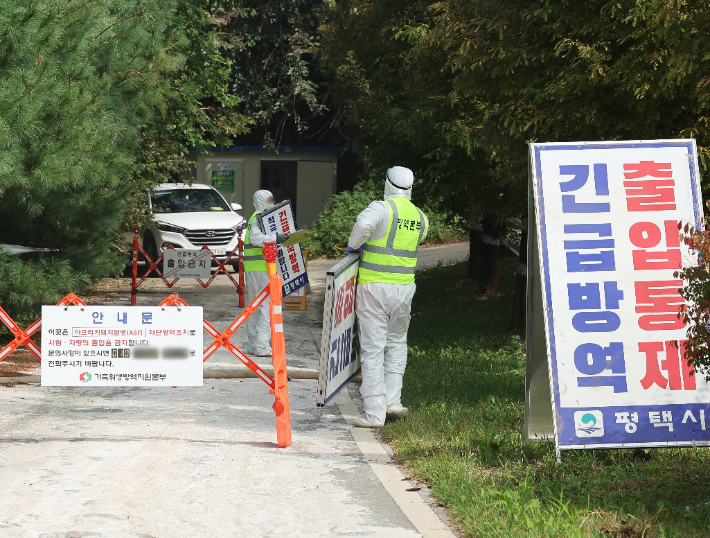 아프리카돼지열병(ASF)이 발생한 경기도 평택시의 한 양돈농장 입구에서 29일 오전 관계자가 출입을 통제하고 있다. 연합뉴스