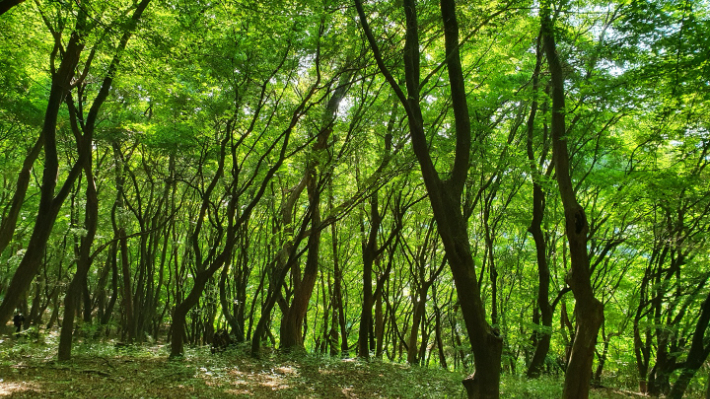건지산길 2. 김윤희 해설사 제공. 