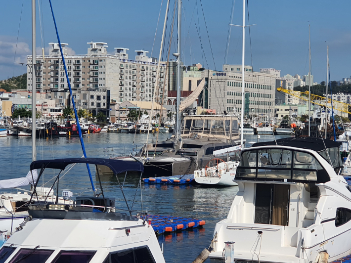 포항동빈항내 정박중인 러시아 국적 요트(가운데 회색 요트). 독자 제공