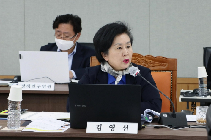 김영선 의원. 의원실 제공