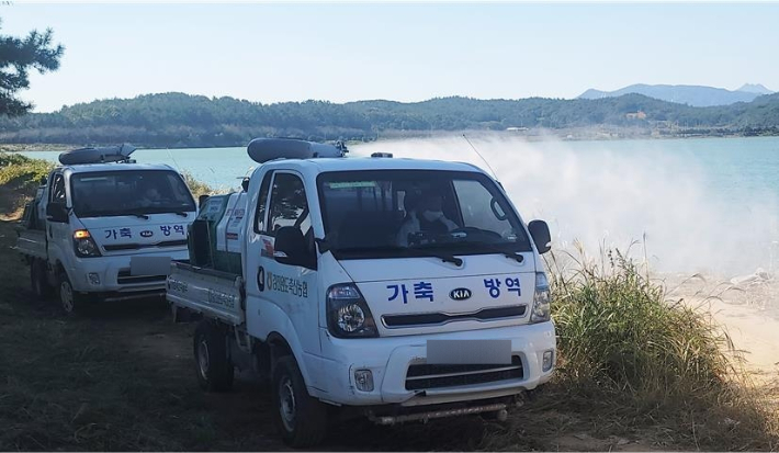 조류인플루엔자 방역. 연합뉴스