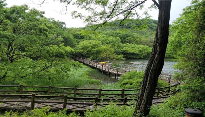 군산 월명호수 주변 길. 군산시 제공