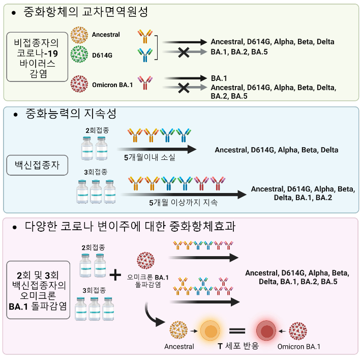 기초과학연구원 제공