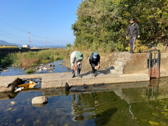 은어 수정란 방류. 경남도청 제공