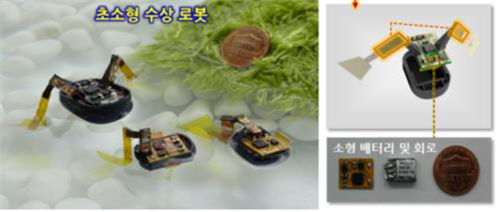 하이드로젤 전극으로 만든 초소형 수상로봇. 조진한 교수 제공