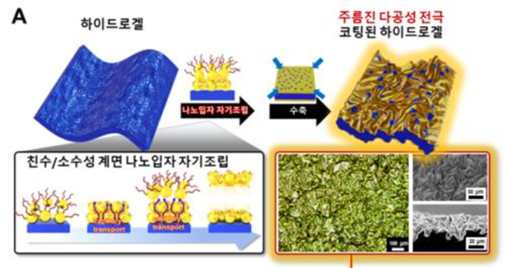 하이드로젤 표면 코팅 개요도. 조진한 교수 제공