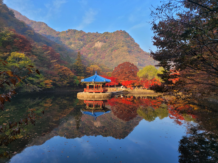  29일 오전 전북 정읍시 내장산국립공원 내 우화정 주변이 단풍으로 물들어 있다. 연합뉴스