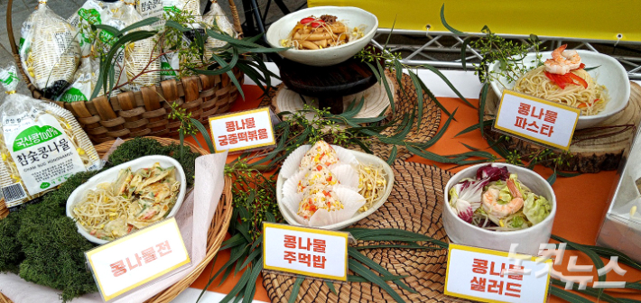 '2022 콩나물 먹는 날' 행사에 전시된 콩나물을 활용한 요리 모습. 노컷TV 채승옥