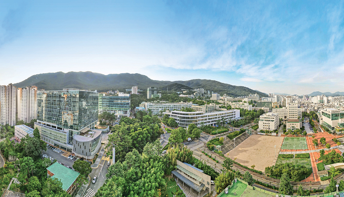 부산대 전경. 부산대 제공
