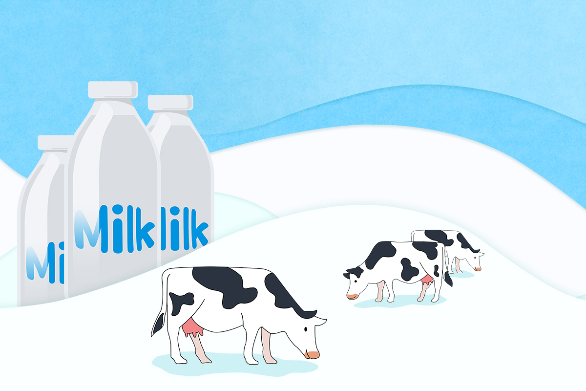 [그래?픽!]올라가는 우유값…소비자는 몇 배로 더 낸다