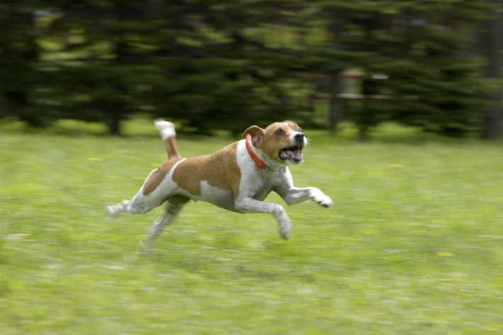 스마트이미지 제공