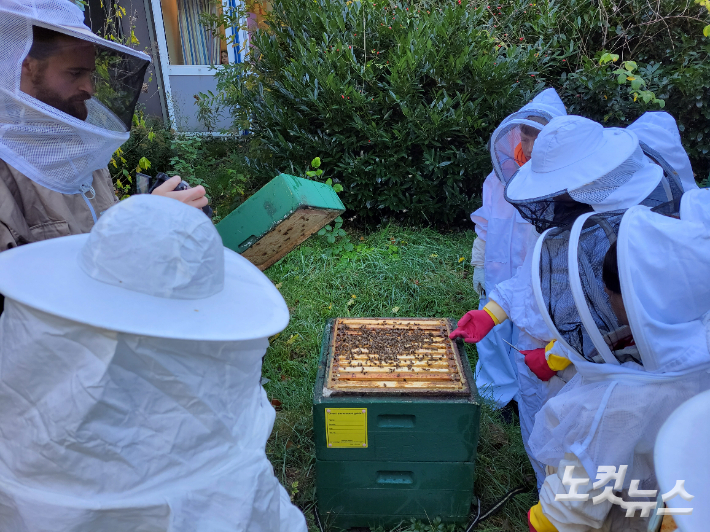 꿀벌을 키우며 기후와 환경을 체험하는 독일 함부르크 율리우스 레버 학교 학생들. 이인 기자