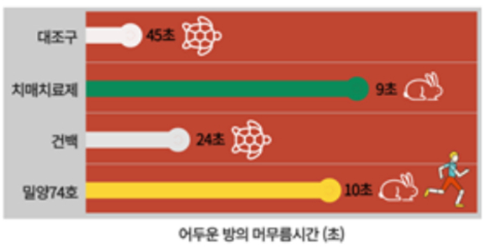 기억능력 평가를 위한 수동회피실험. 농촌진흥청 제공