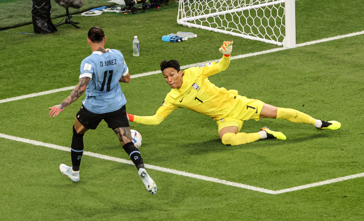 지난 24일 오후(현지시간) 카타르 알라이얀의 에듀케이션 시티 스타디움에서 열린 2022 카타르 월드컵 조별리그 H조 1차전 대한민국과 우루과이 경기. 대한민국 수문장 김승규가 우루과이 다르윈 누녜스의 골문 앞 돌진을 몸을 날려 막아내고 있다. 연합뉴스